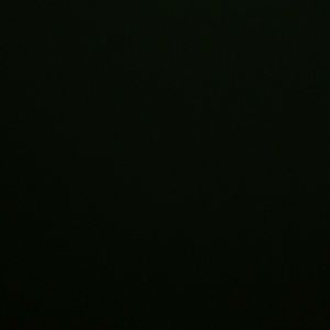 Meet your Posher, Ocie